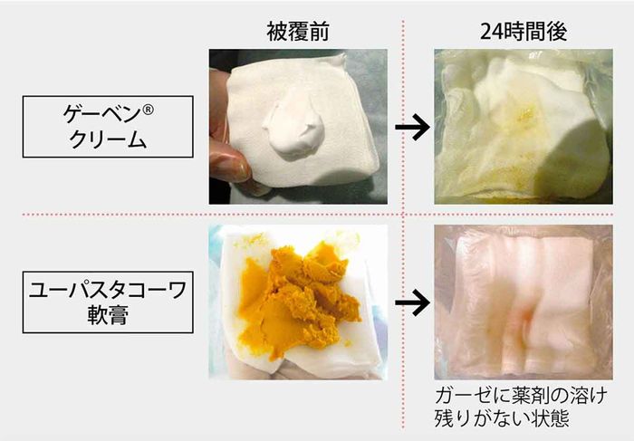 図1 適正な湿潤環境下での薬剤の溶解の画像