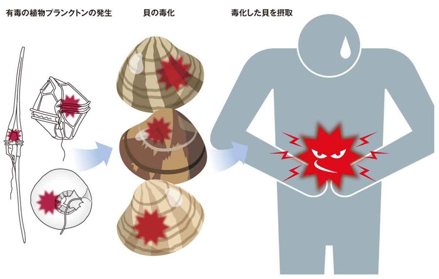潮干狩りの法則の画像