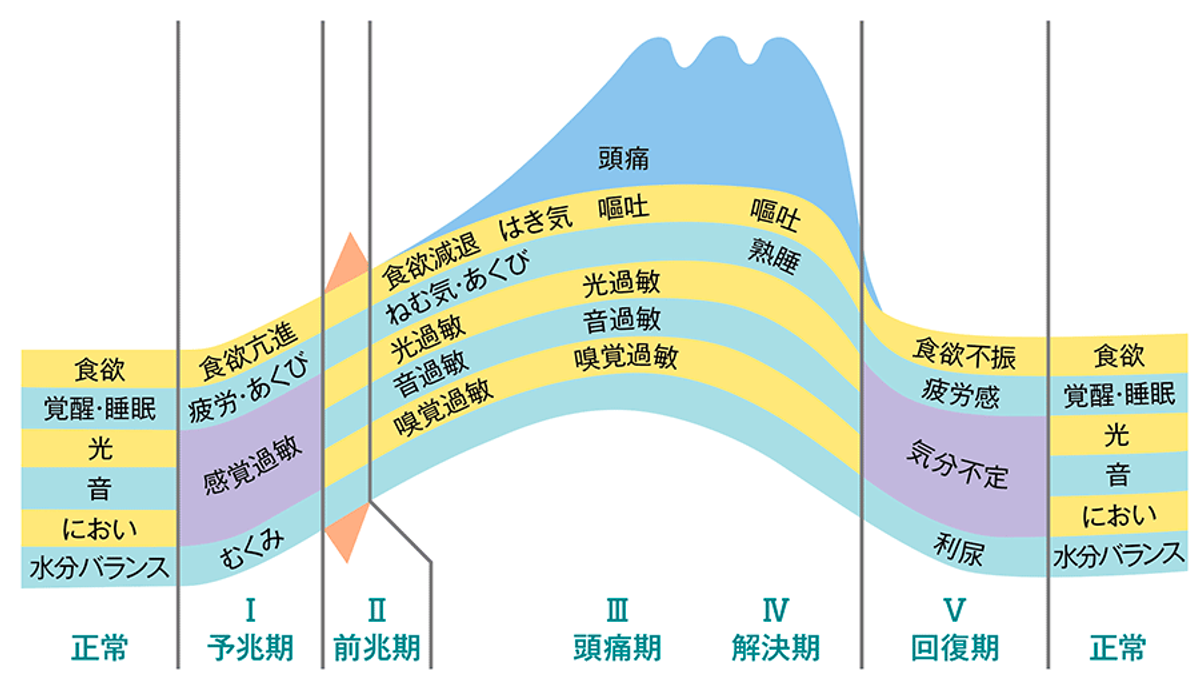 図3 片頭痛の時間経過に伴う症状
