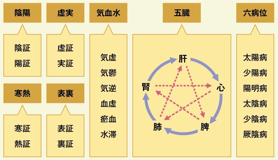 図2 漢方診療のプロセスの画像