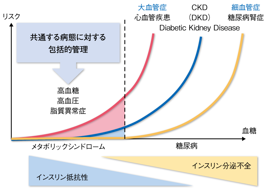 図1 糖尿病における血管合併症の成り立ちの画像