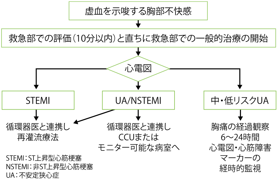 図3 急性冠症候群診療アルゴリズムの画像