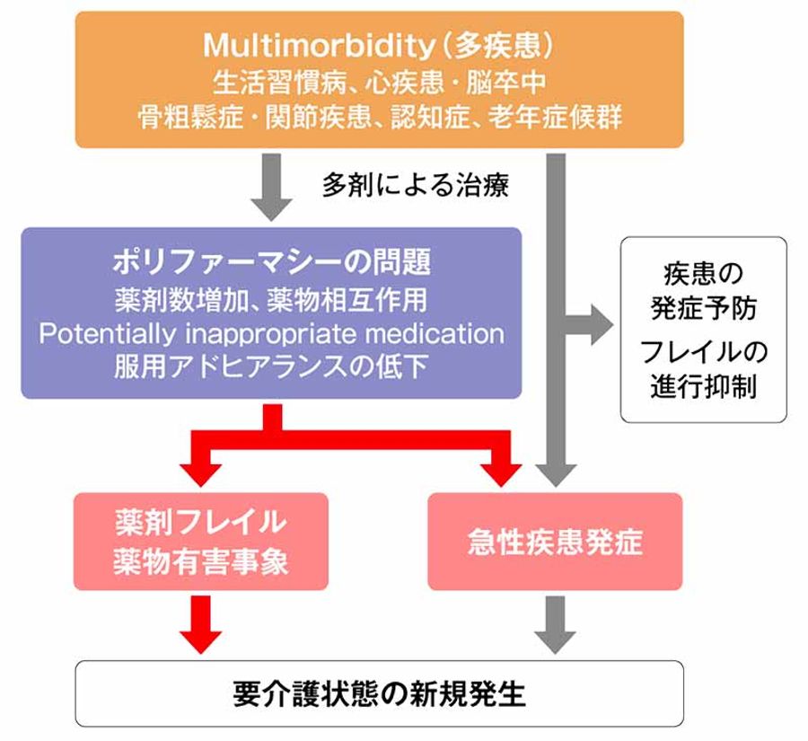 図2 Multimorbidity患者のフレイルとポリファーマシーによる要介護状態の発生の流れの画像