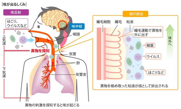 医師に連絡する時期