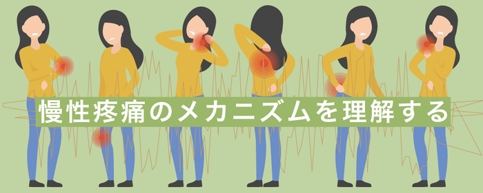 慢性疼痛のメカニズムを理解するの画像