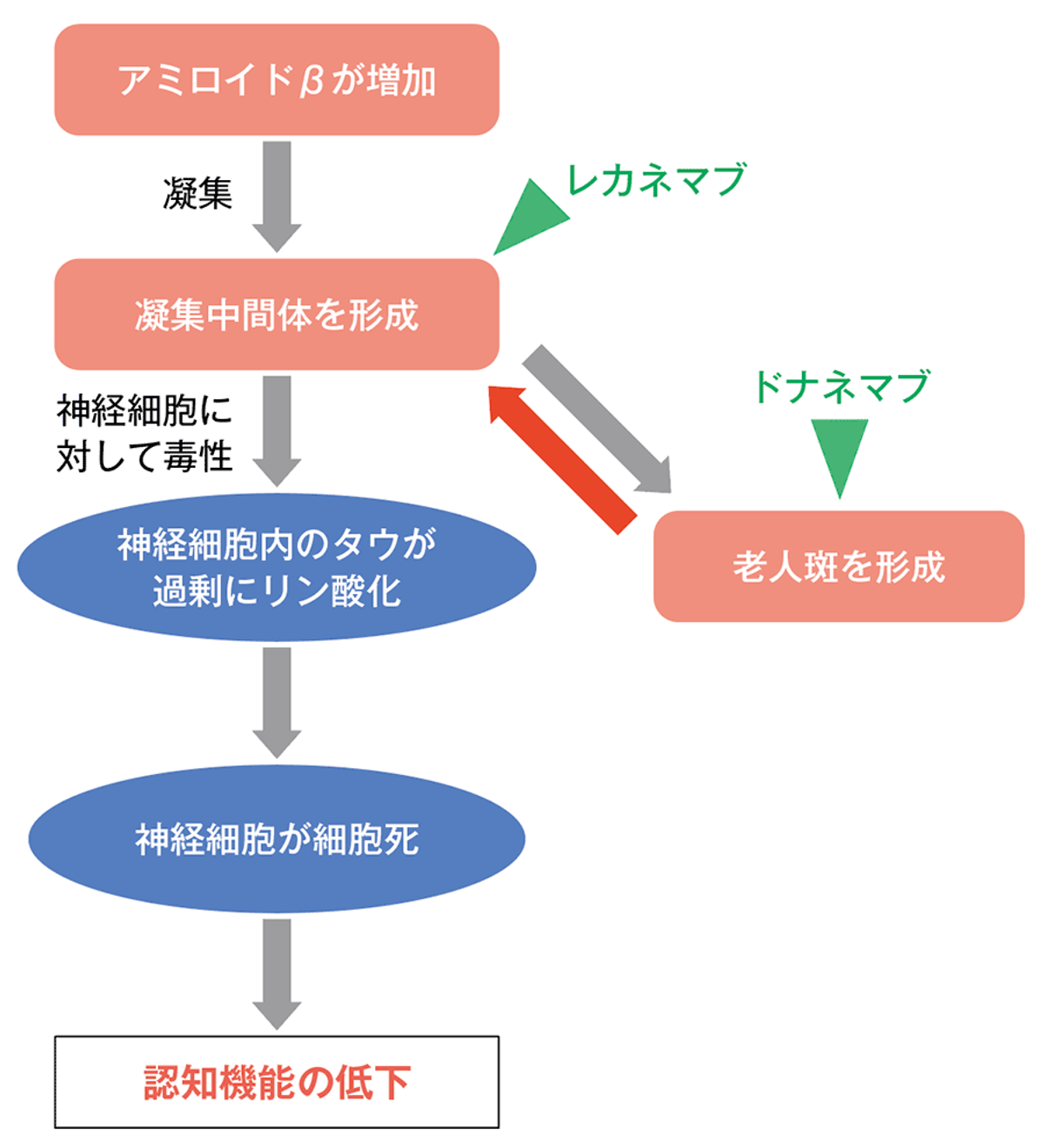 アミロイドカスケード仮説のイメージ図の画像