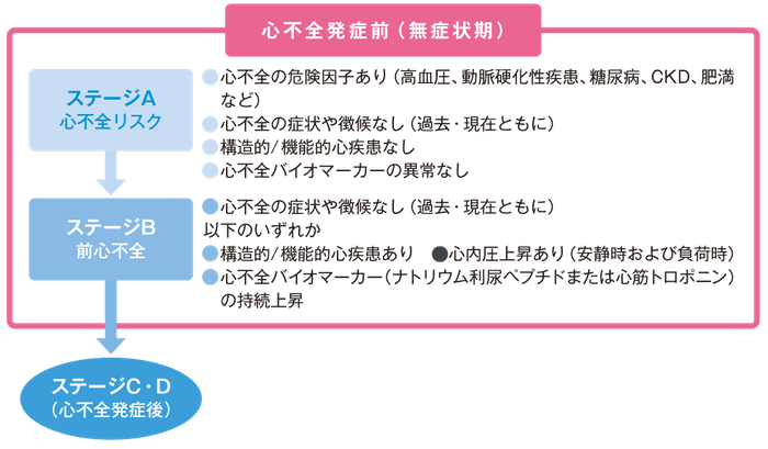 心不全発症前のステージの画像