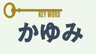 明日から使える知識、抗ヒスタミン薬が奏功しない「かゆみ」の画像
